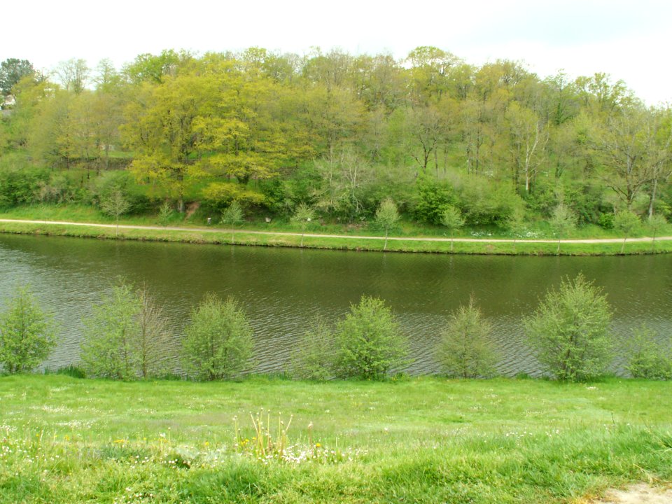 200605_0008 