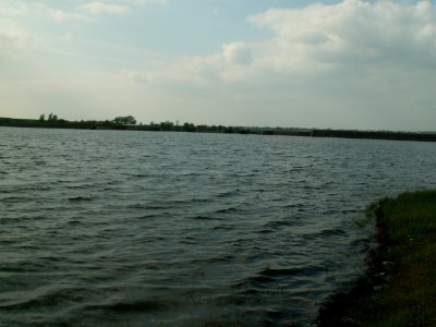 200604_0050 