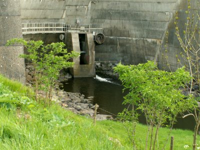 200604_0054 