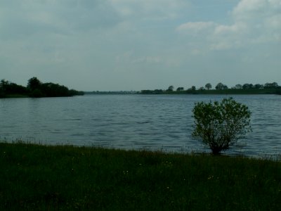 200604_0041 