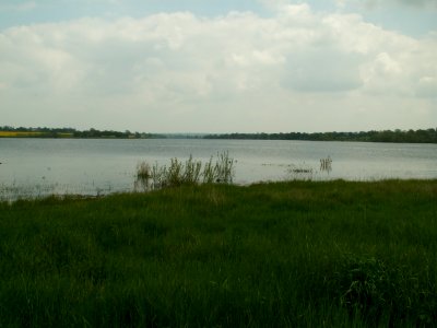 200604_0038 