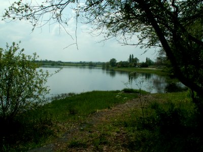 200604_0036 