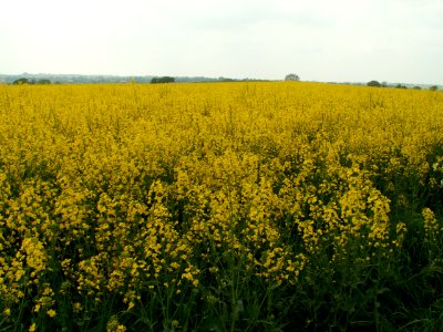 200604_0031 