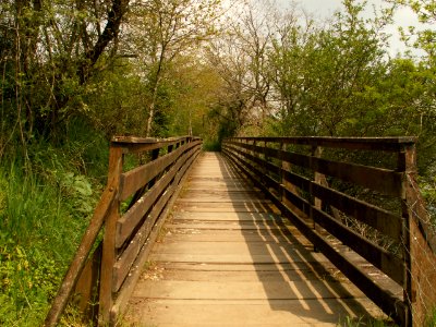200604_0017 