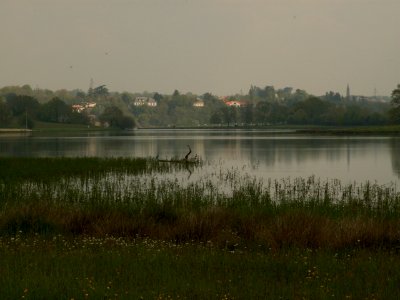200604_0015 