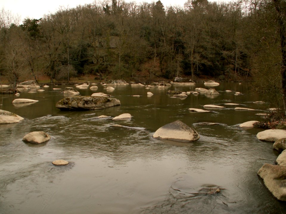 200603_0021 