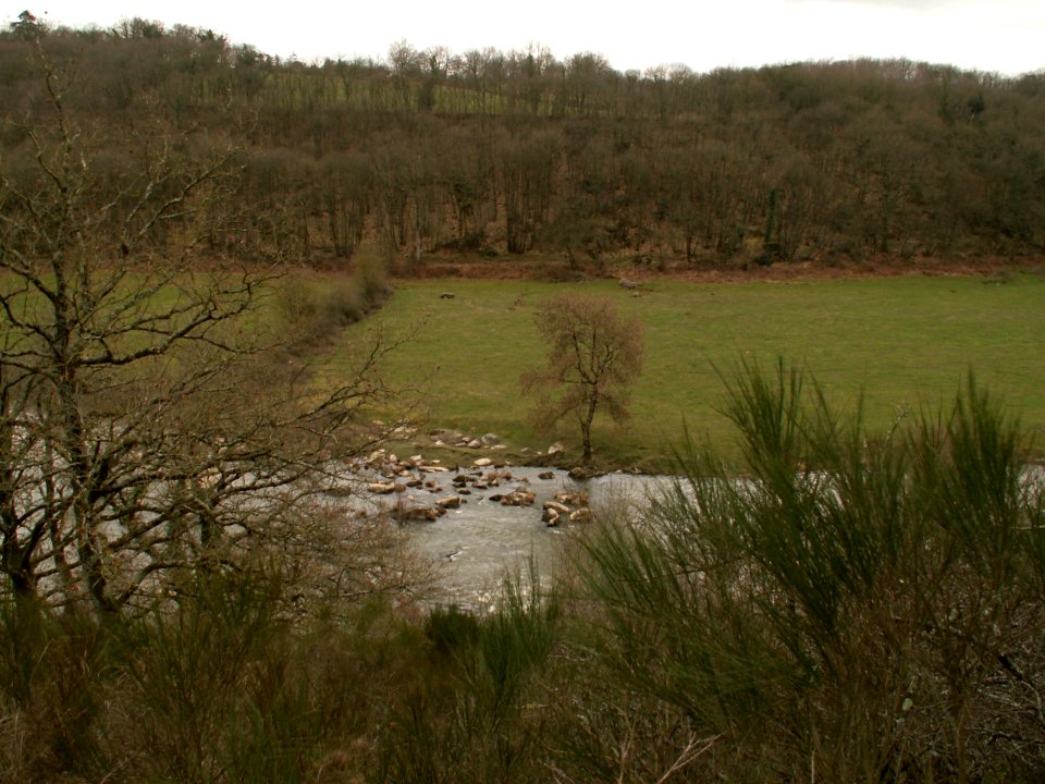 200603_0020 