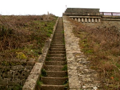 200603_0017 