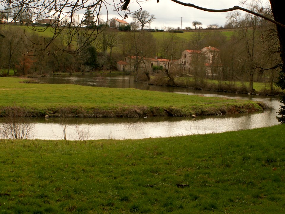 200603_0010 