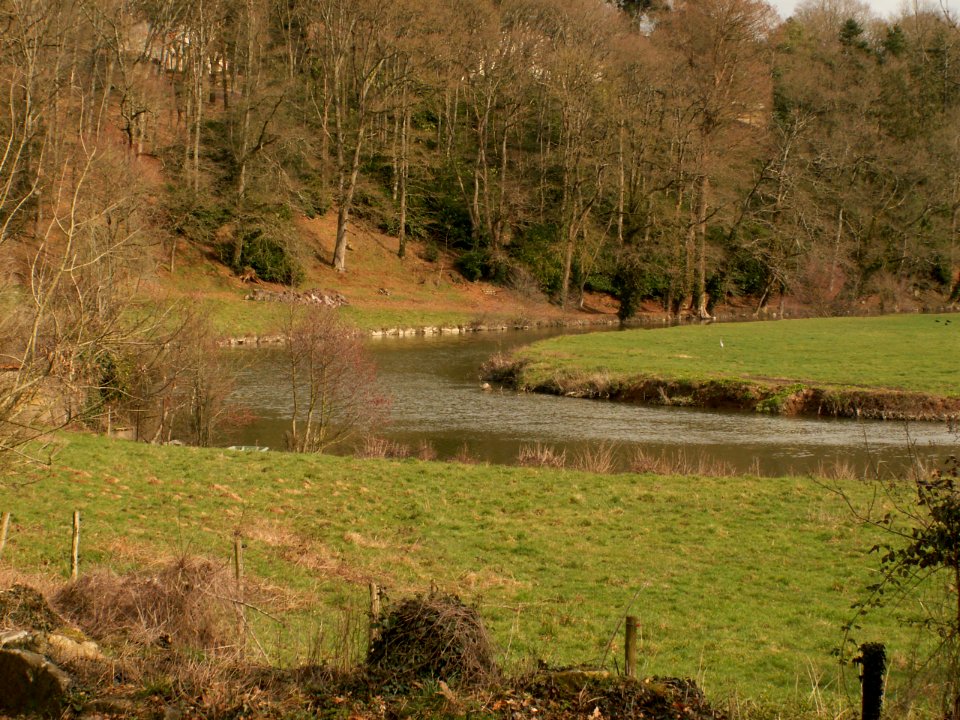 200603_0009 