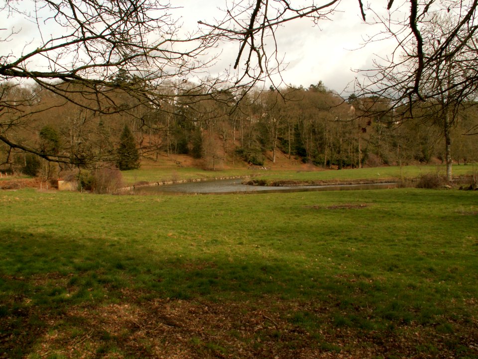 200603_0008 