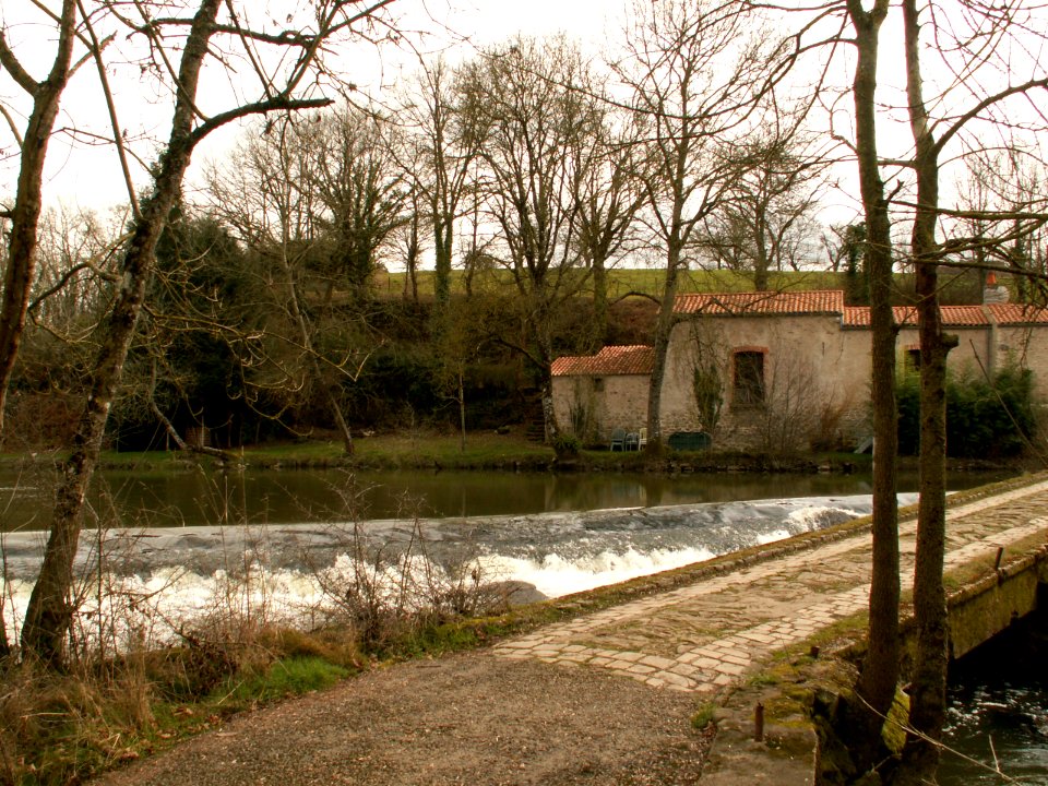 200603_0007 