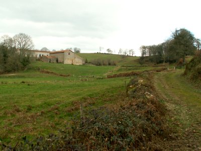 200602_0040 