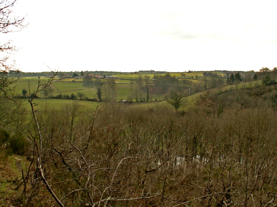 200602_0030 