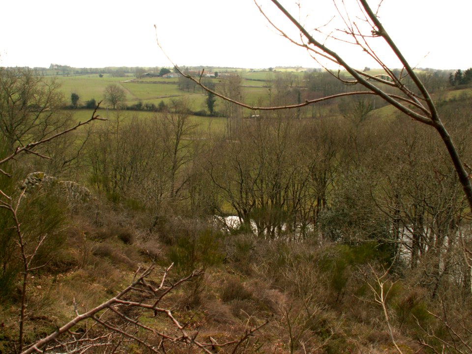 200602_0028 