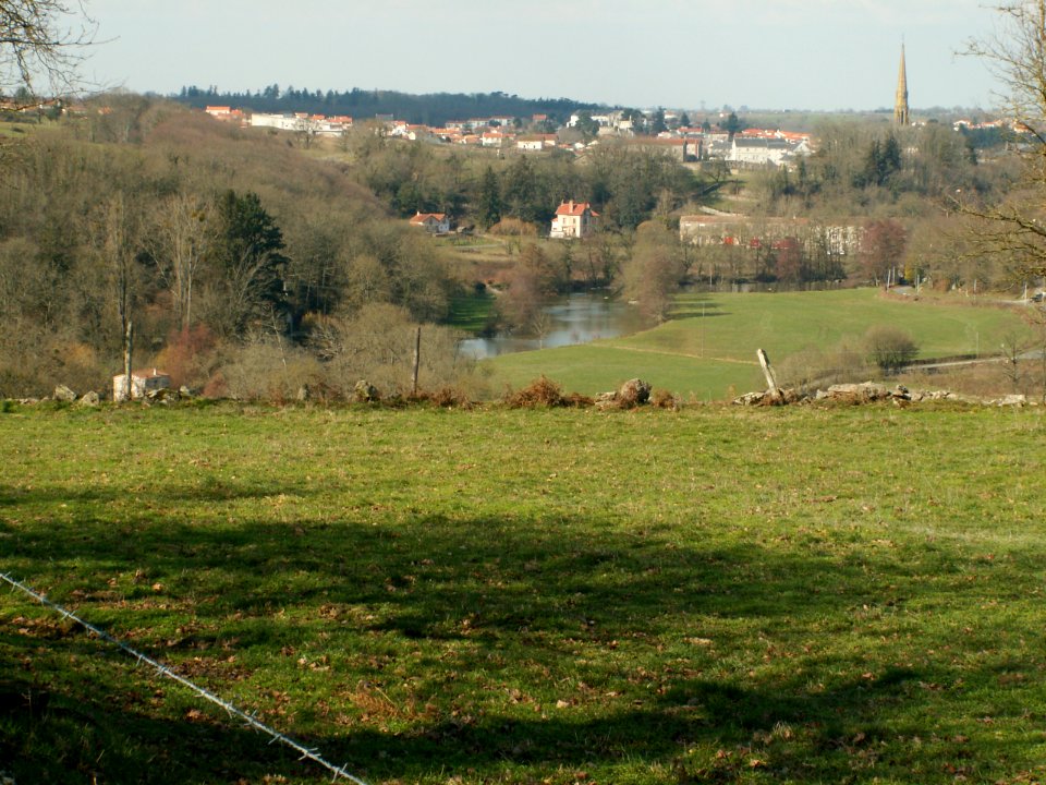 200602_0019 