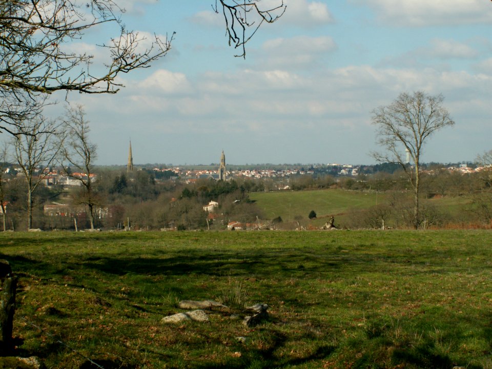 200602_0017 
