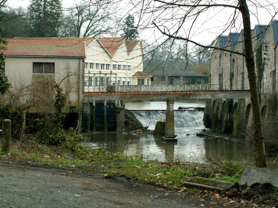 200602_0005 