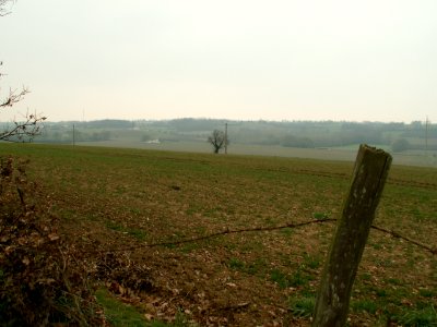 200602_0011 
