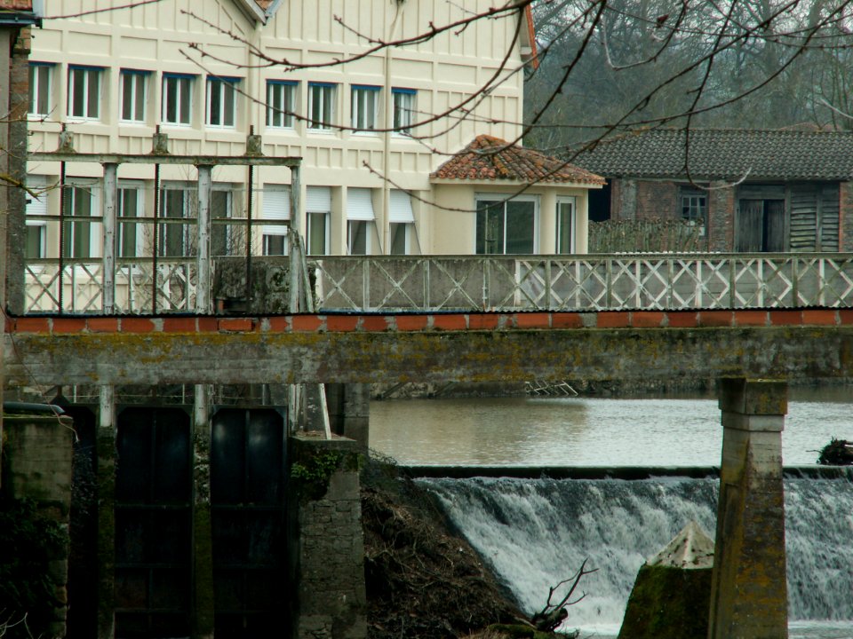 200602_0006 