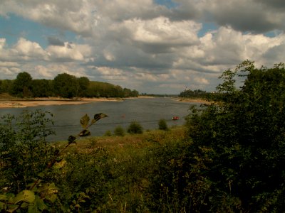 200608_0118 