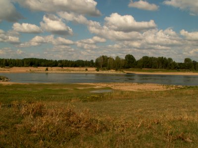 200608_0117 