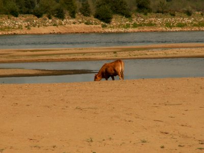 200608_0107 