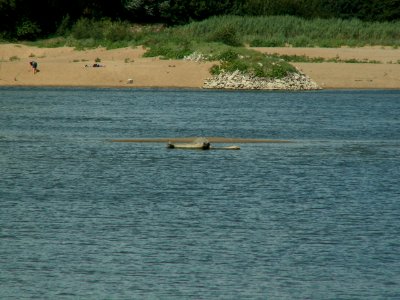 200608_0099 