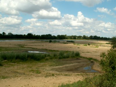 200608_0091 