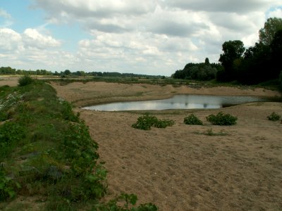 200608_0087 