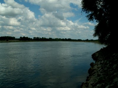 200608_0083 