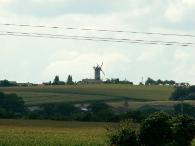 200608_0079 
