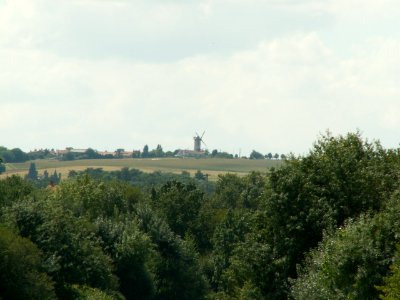 200608_0077 