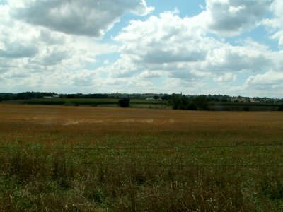 200608_0078 