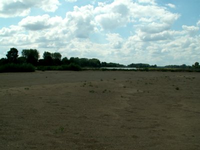 200608_0095 
