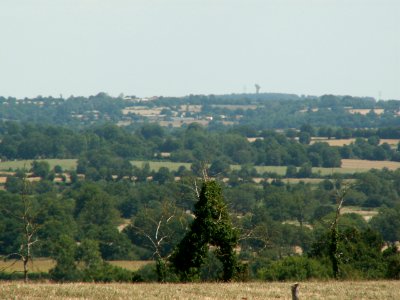 200608_0051 