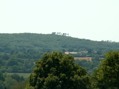 200608_0052 