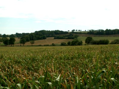 200608_0043 