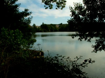 200608_0046 