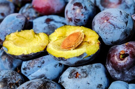 Cut in half stone fruit plum stone