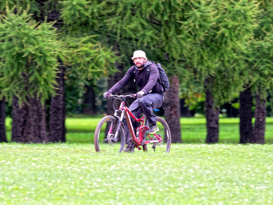 Riding the green sea 