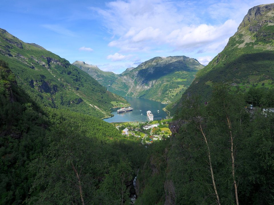 Summer fjord 