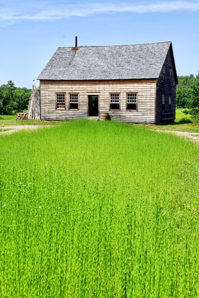 Agriculture meadow rural