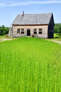 Agriculture meadow rural