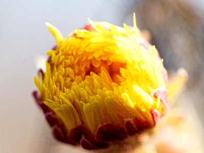 Moments to opened 