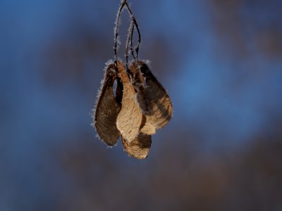 P2210228 