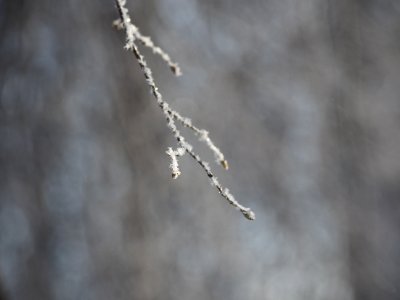 P2210222 