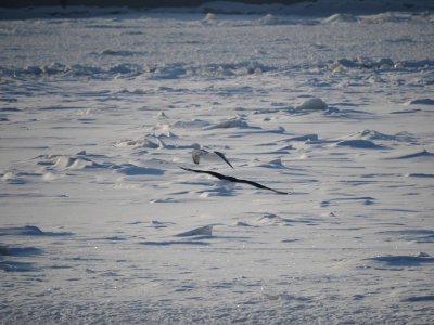P2150159 