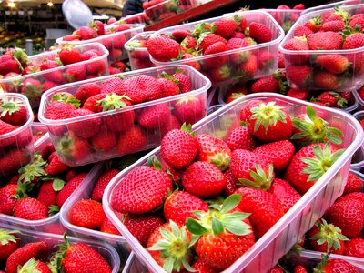 Fruit food red