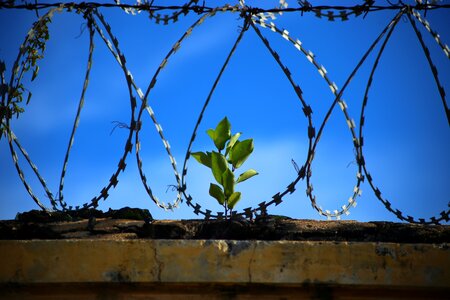 Jailed prison break wire